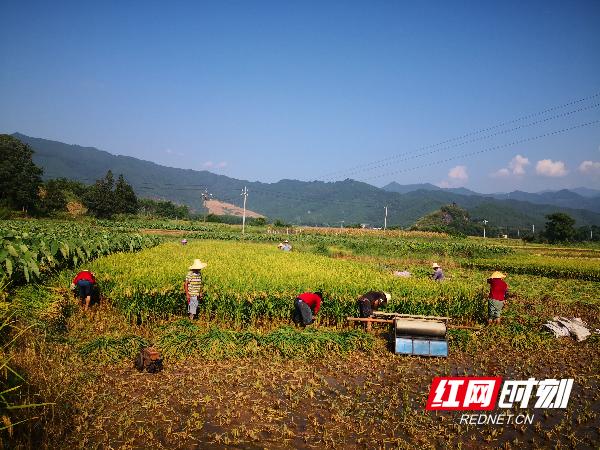 超级小村民最新章节探秘