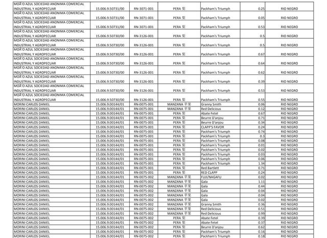 海关总署领导最新排名及其角色分析