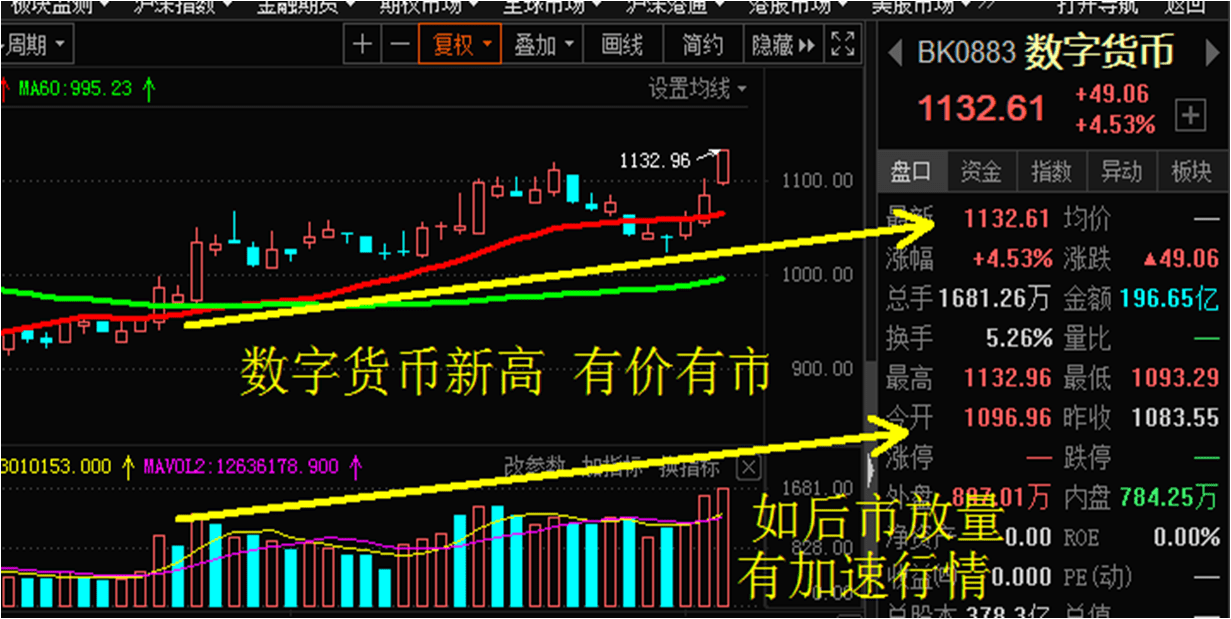 杞县今日大蒜最新行情深度解析