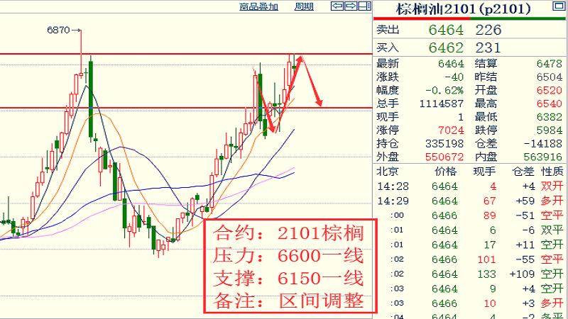 山西鸡旦价格最新行情分析