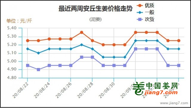 安丘大姜最新价格今日分析