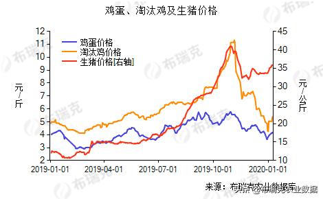 全国毛鸡价格最新行情分析