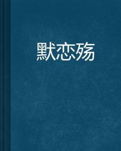 沈南乔最新小说探秘，情感与想象力的奇妙交织